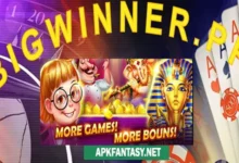 Bigwinner Pro