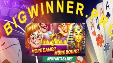 Bigwinner Pro