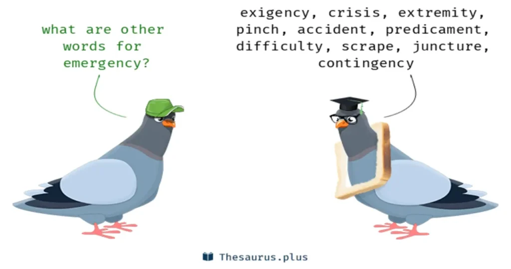 Another Word for Family Emergency: 1Exploring Different Terms and Their Meanings