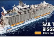 The Allure of the Seas Man Overboard Incident