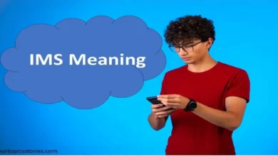 What Does IMS Mean in Text