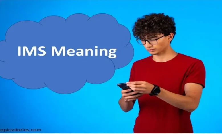 What Does IMS Mean in Text