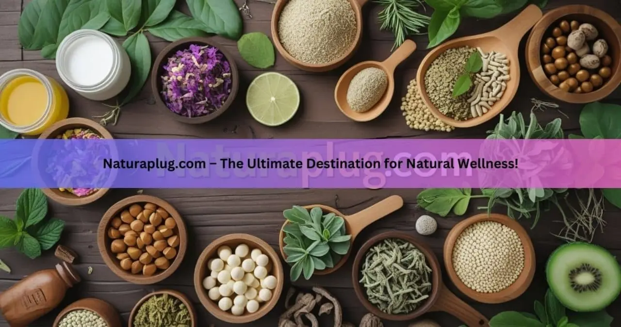 Naturaplug.com: The Future of Sustainable Products for a Greener Tomorrow1