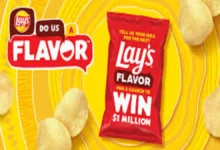 Lays Potato Chips