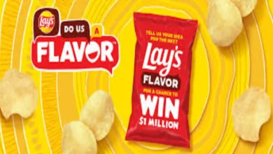 Lays Potato Chips