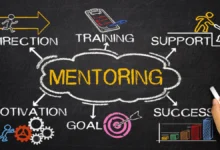 Innovative Mentoring Software