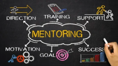 Innovative Mentoring Software