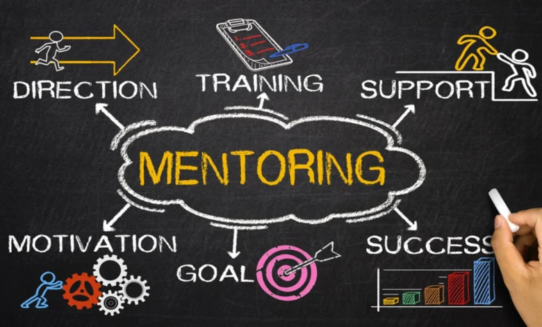 Innovative Mentoring Software