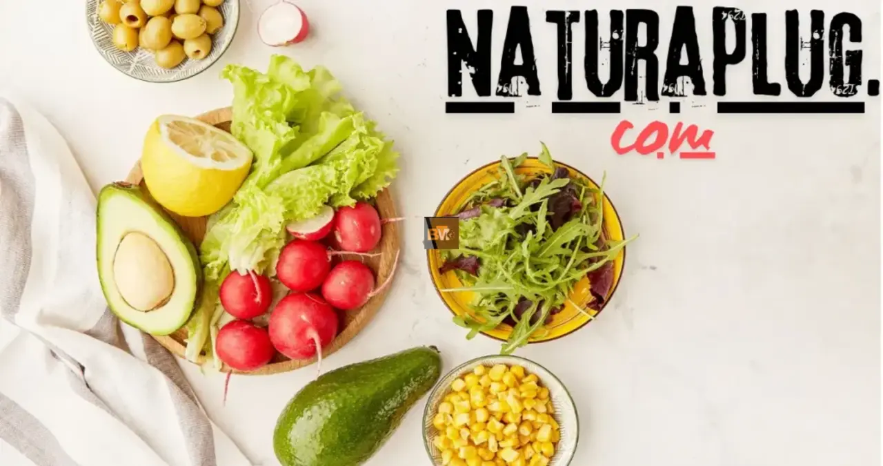 Naturaplug.com: Revolutionizing Sustainable Products for a Greener Tomorrow1