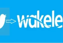 Wakelet Logo