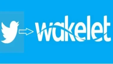 Wakelet Logo