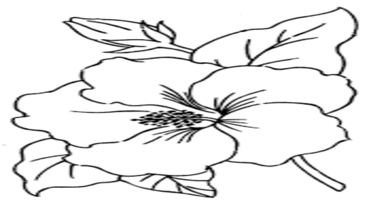 Big Flower Drawing Made Easy: A Casual Guide for Budding Artists1